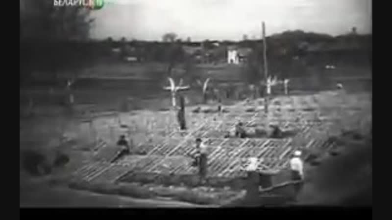 Оказывается ссср, помимо станков и телевизоров, закупал в голландии около 100 тысяч тонн навоза в год!