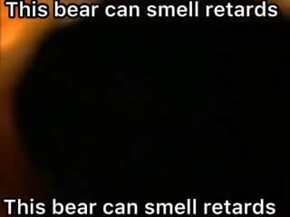 This bear can smell retards