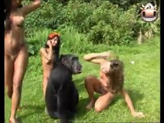 Monkey and brasilian girls - BEST XXX TUBE