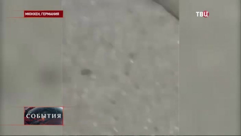 Мюнхенским стрелком оказался 18 летний выходец из ирана