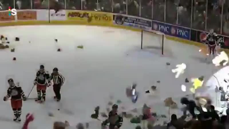 Teddy bear toss – традиционная ежегодная рождественская акция