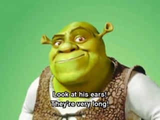 My hero is shrek fairyland 3