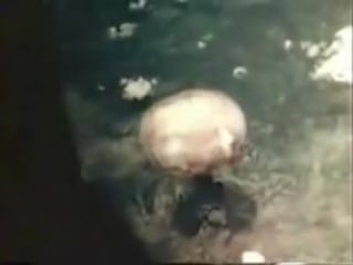 Real footage atomic porn hiroshima and nagasaki