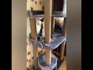 26 06 2020 видео karina aleksandrovna