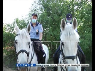 Мы продолжаем следить за темой секс скандала на пляже гребного канала