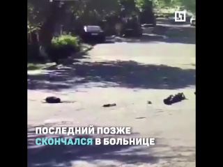 Ликвидация боевика