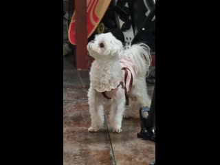 [twitter] 210225 saa [sublime on]