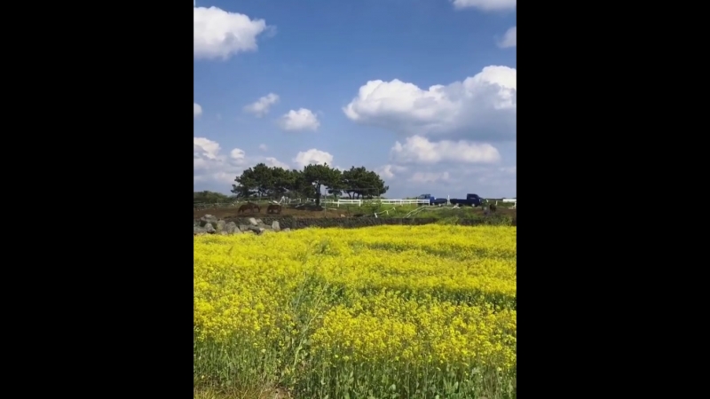 [ig] 180429 hyomin instagram