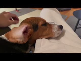 210307 winwin bubble update