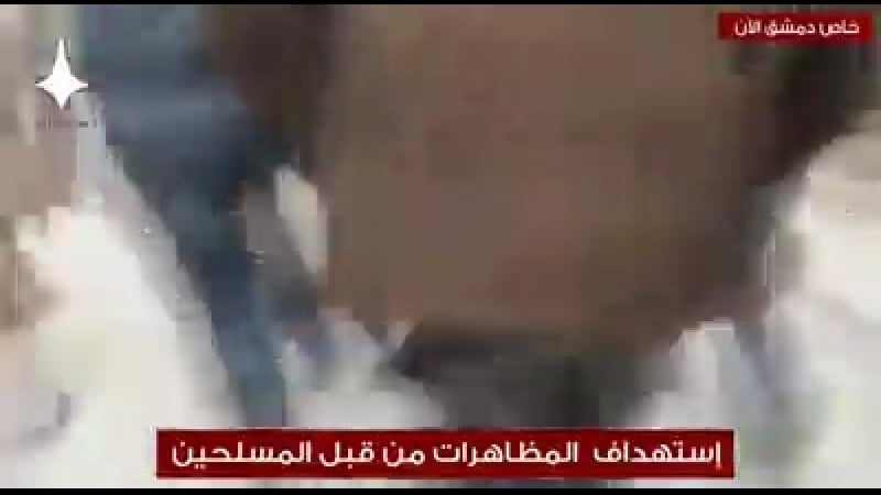 Расстрел проправительственного митинга в городе кафр батма в восточной гуте