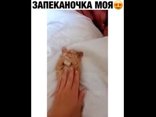 Запеканочка моя 😍