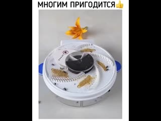 Lifexak video 20200716 1 mp4