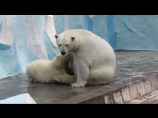 Ростик любит молочко 29 07 16