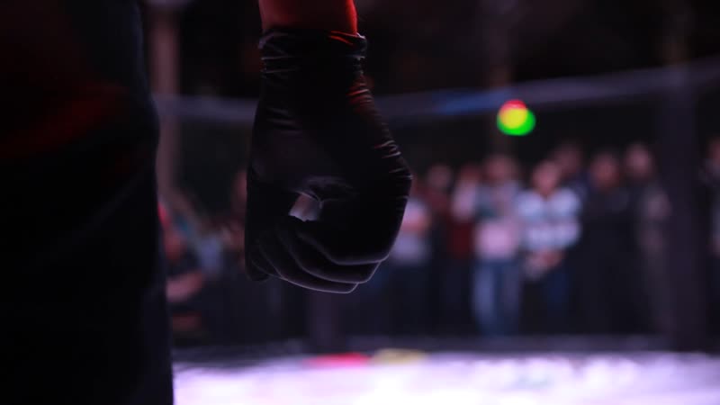 Земля отцов | второй этап открытой лиги черноземья по мма