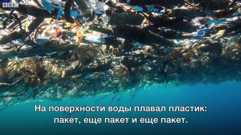 Мусорный остров в карибском море масштабы ужасны