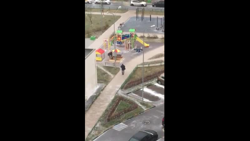 Гололед комунадьщики