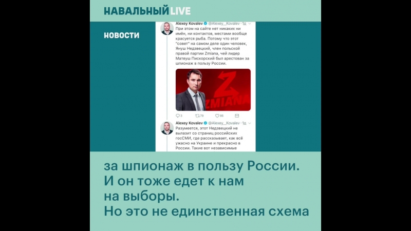 Фейковые иностранные наблюдатели