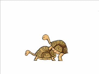 Cartoon turtle sex