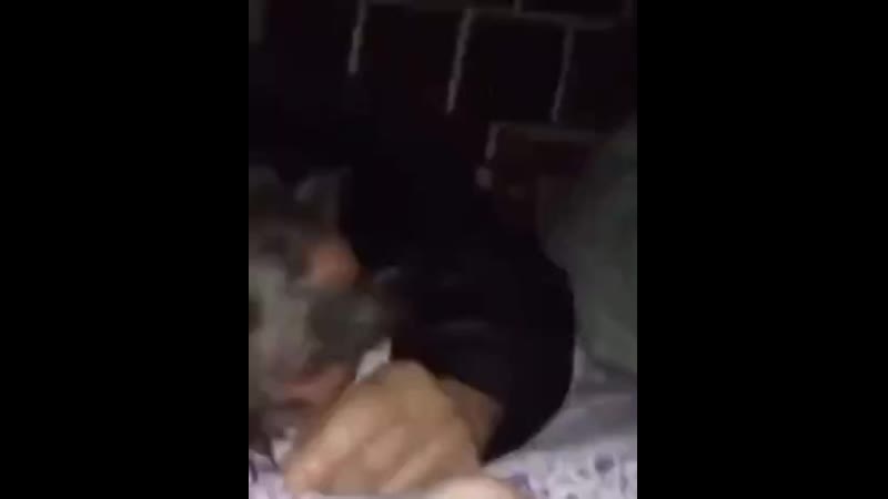 Ёлы палы / doodoser