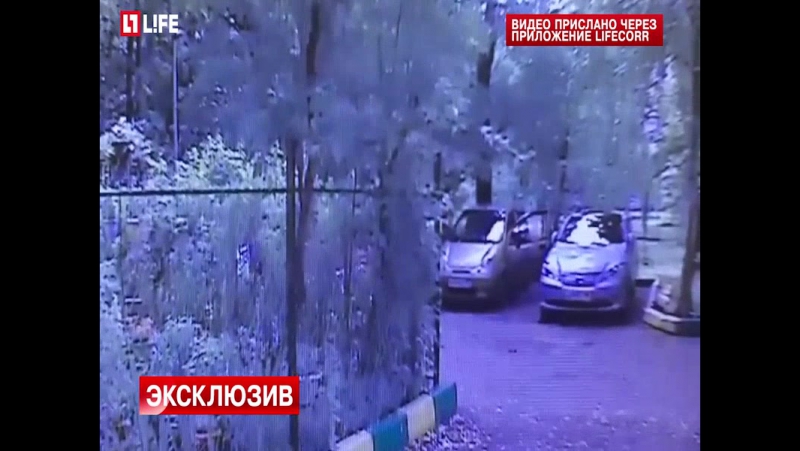 Расстрелявший молодые за громкий лай попал на камеры