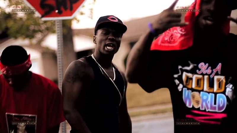 Lil roy &amp; lil zay – not fina play