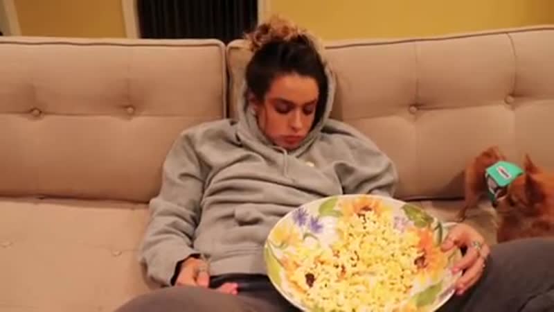 @sommerray vs @sommerray2 hahahahaha sommer ray #sommerray