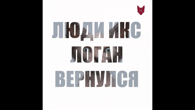 Котенок #ликой logan