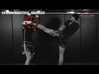 Muay thai left high kick k o fight breakdown, penake sitnumnoi evolve university