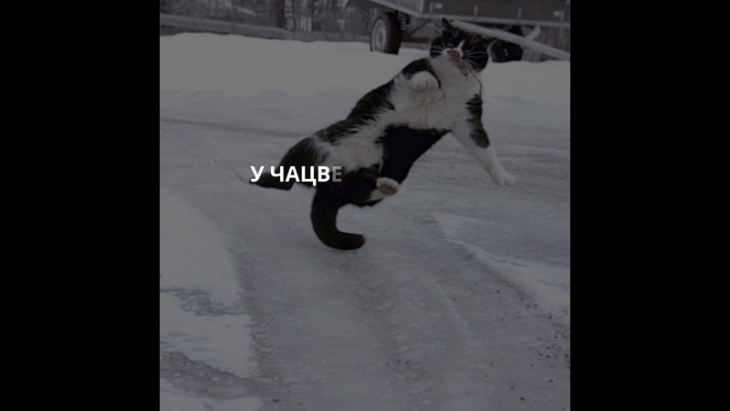 Навіны за хвіліну 22 лістапада 2017