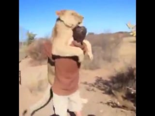 ๑۩ infinito ۩๑