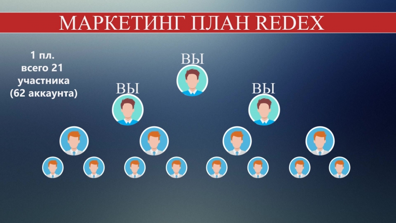 Маркетинг план redex 1 пл структура 62человек!