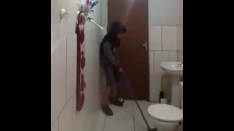 Два хищника против мышки