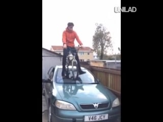 The very best submitted videos of 2015