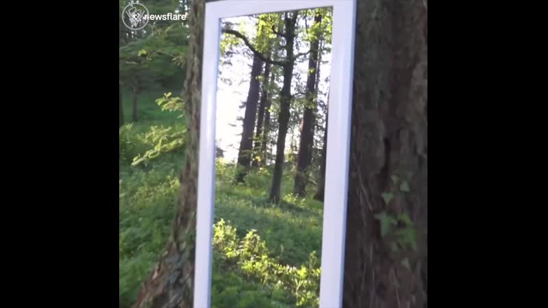 Крутой иллюзионист