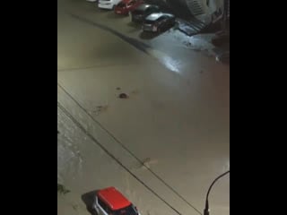 Дождь 15 08 21 [аноним новороссийск]