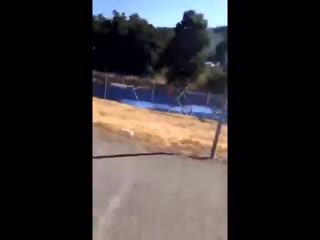 You can actually hear the gunshots being fired at the gilroy garlic festiv