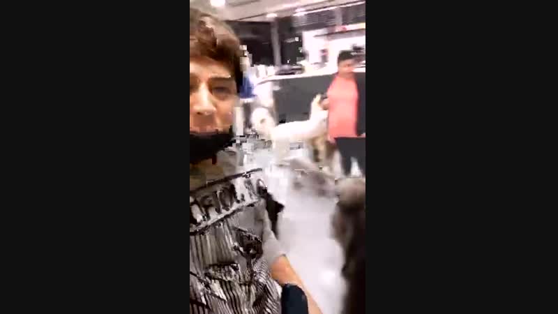Alexander instalive ||