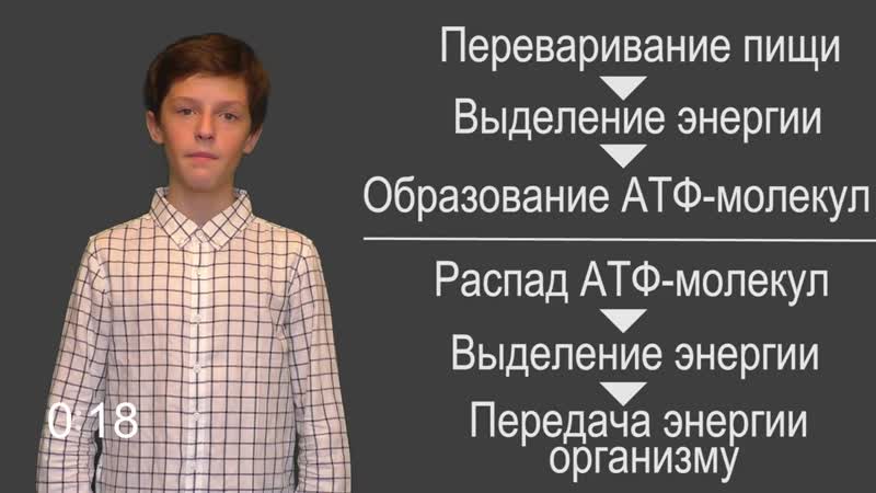 [короче физика] физика 8 класс §10 энергия топлива удельная теплота сгорания
