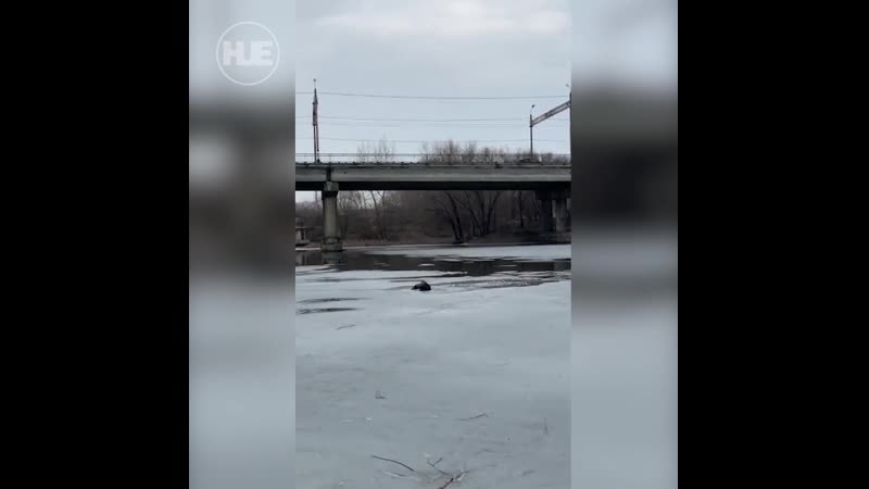 В сызрани парень спас молодые, которая провалилась под лёд