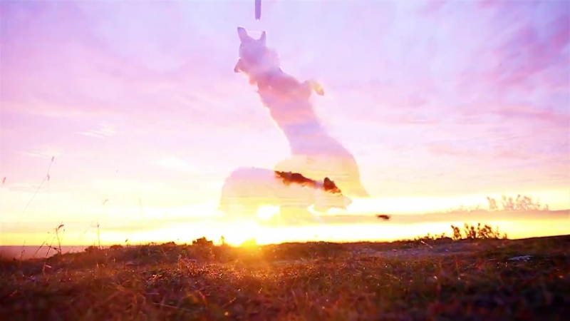 Alive in the summertime summer 2015 ♡