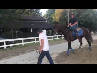 Mckinzie, saratoga racetrack