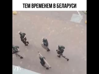 Ztb video 20200922 1 mp4