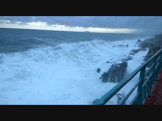 Genova nervi