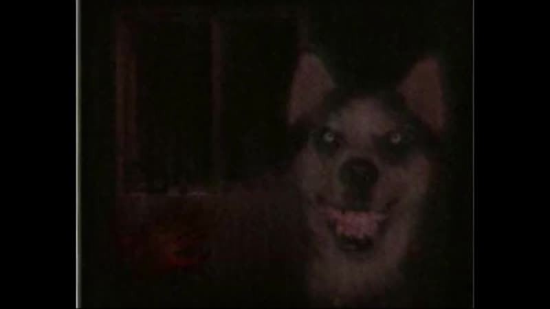 [flynnflytaggart] кошмары интернета часть вторая