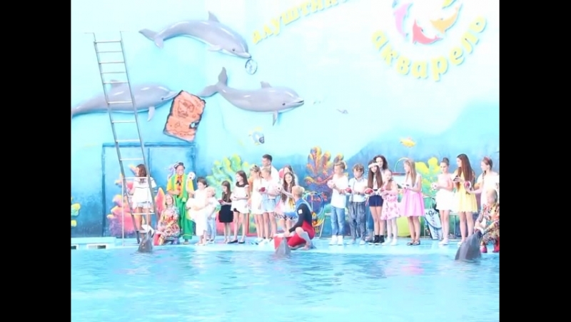 Жеребьёа в дельфинарии "акварель" (молодые новая волна 2015)