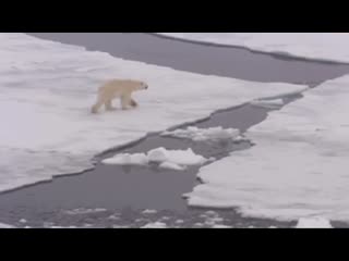 House of tuan (from estelle to mark)