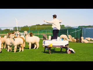 Mr belt & wezol dj set @ alpaca world brielle