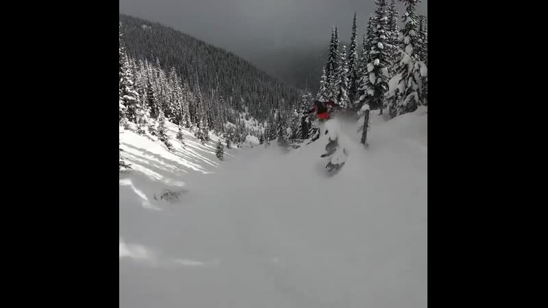 Bryan fox и austen sweetin