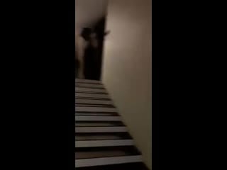 A wild elephant went into a sri lankan hotel and gently wandered around while poking stuff with his trunk 2 mp4