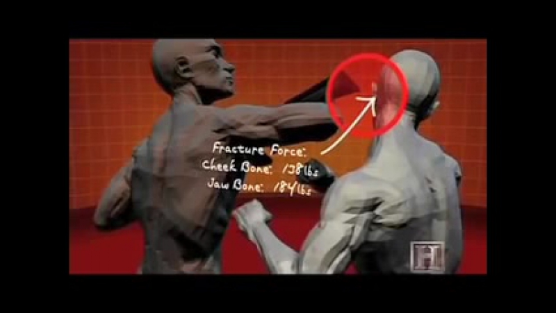 Krav maga buttstroke ufcall ©
